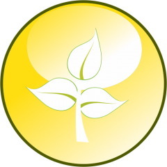 Garden Clearance London